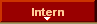  Intern 